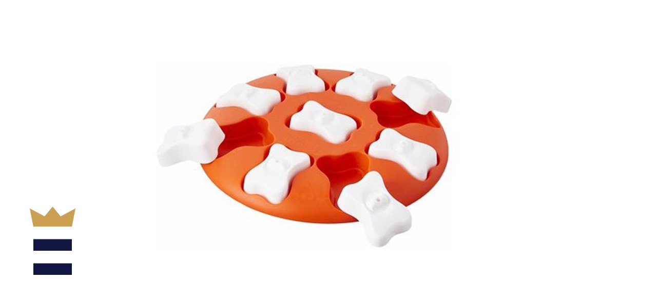  Nina Ottosson por Outward Hound smart Puzzle game Dog Toy 