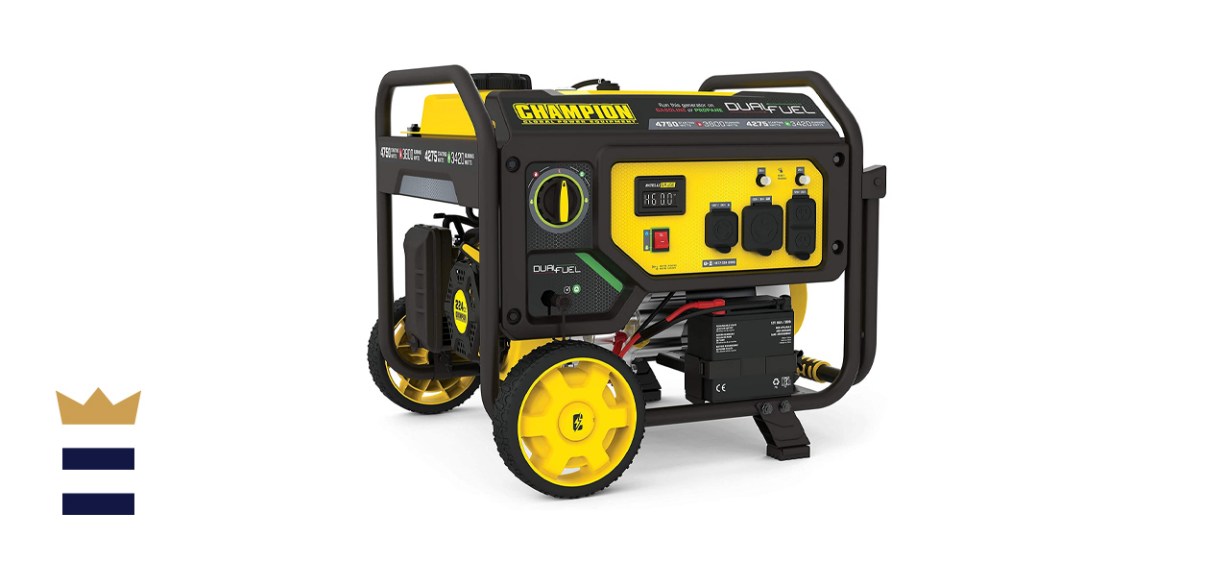 Champion Power Equipment 201052 Dual Fuel Portable Generator