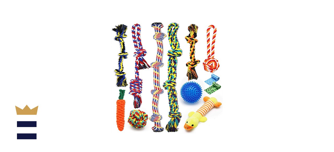 chew toys