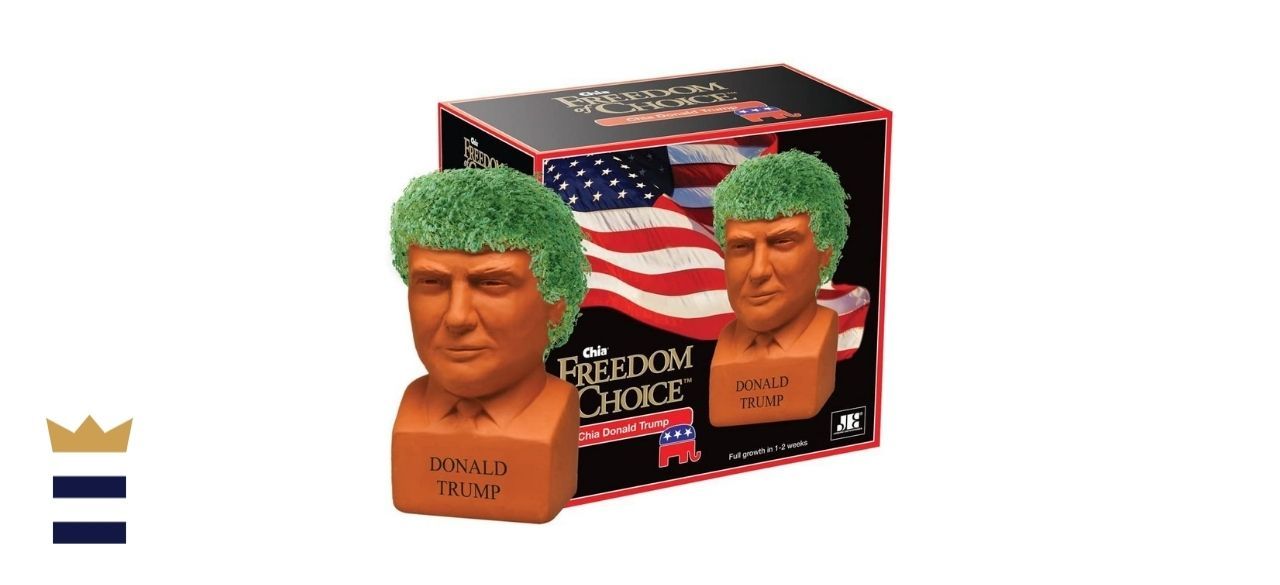 Chia Pet Donald Trump