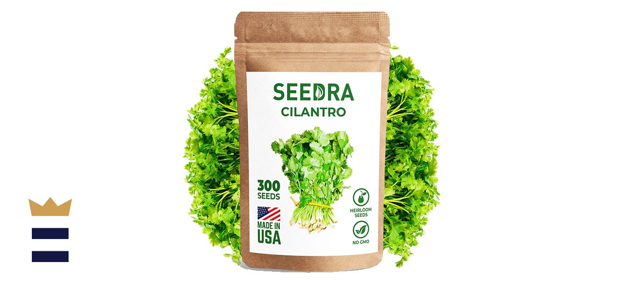 SEEDRA Cilantro