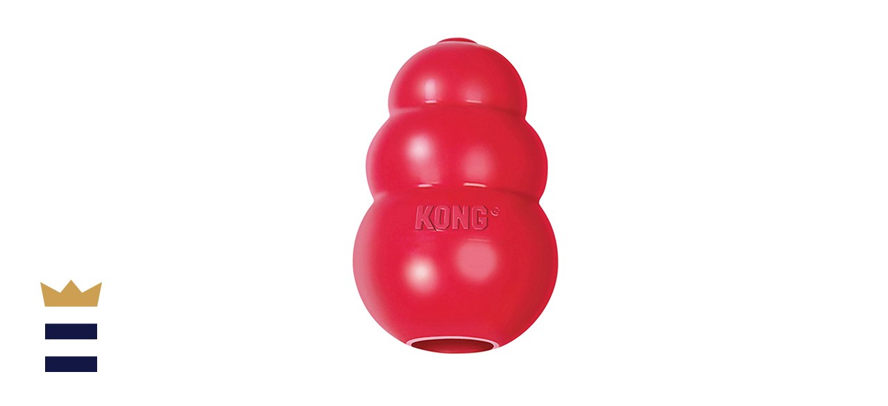 Classic Kong Dog Toy