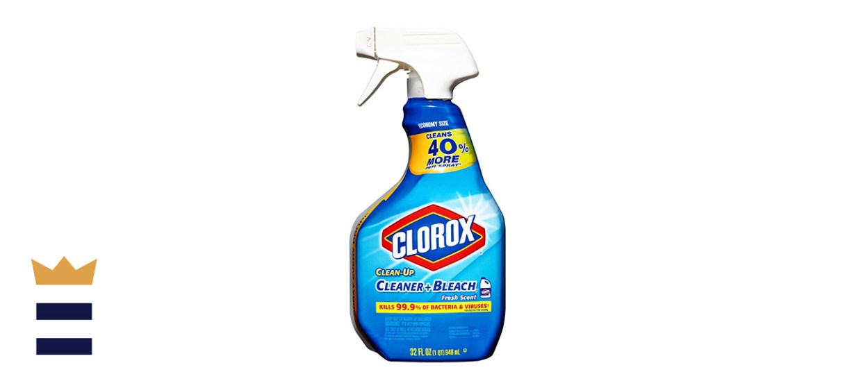 Clorox Clean-Up All-Purpose Cleaner Spray with Bleach Clorox Clean-Up All-Purpose Cleaner Spray with Bleach