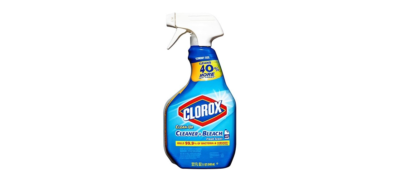 Clorox Clean-Up All-Purpose Cleaner Spray with Bleach