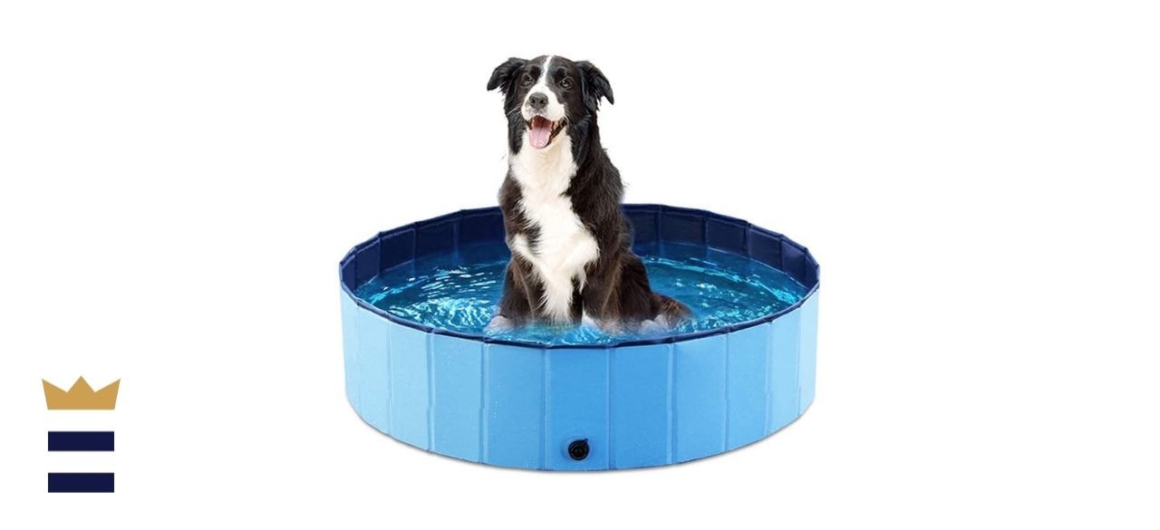 Cool Pup Splash About Dog Pool