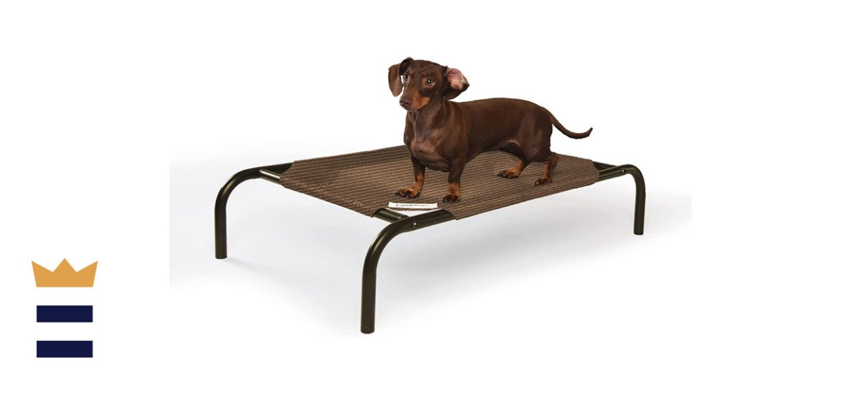 Coolaroo The Original Cooling Elevated Dog Bed