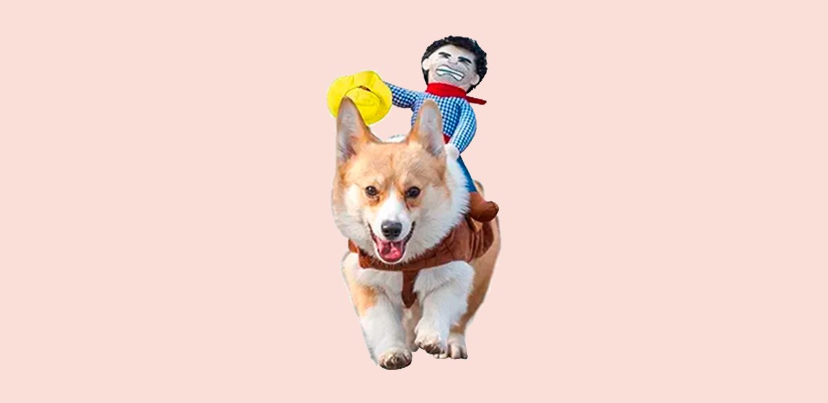 Best Cowboy Rider Dog Costume Best Cowboy Rider Dog Costume