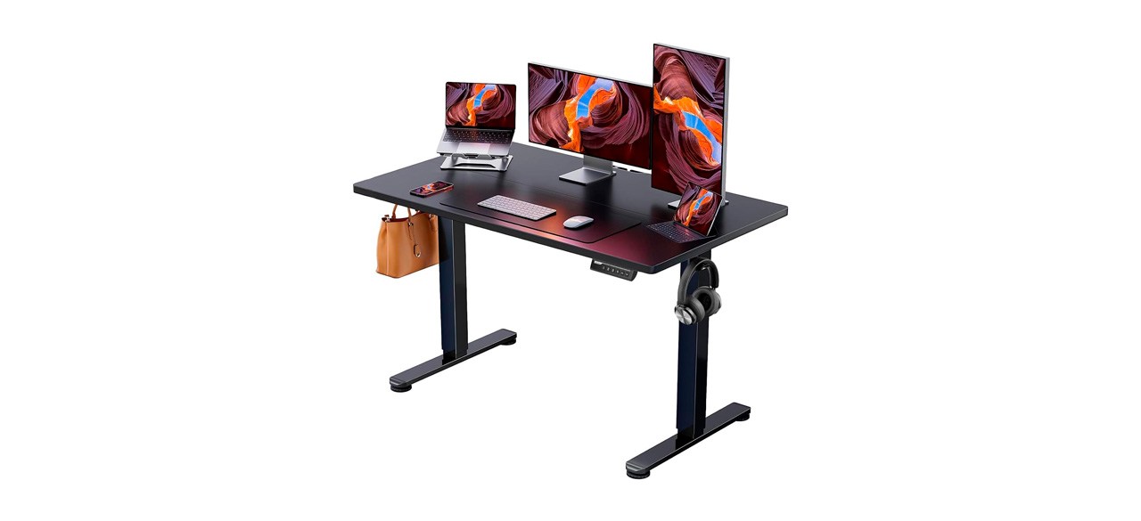 ErGear Height Adjustable Electric Standing Desk