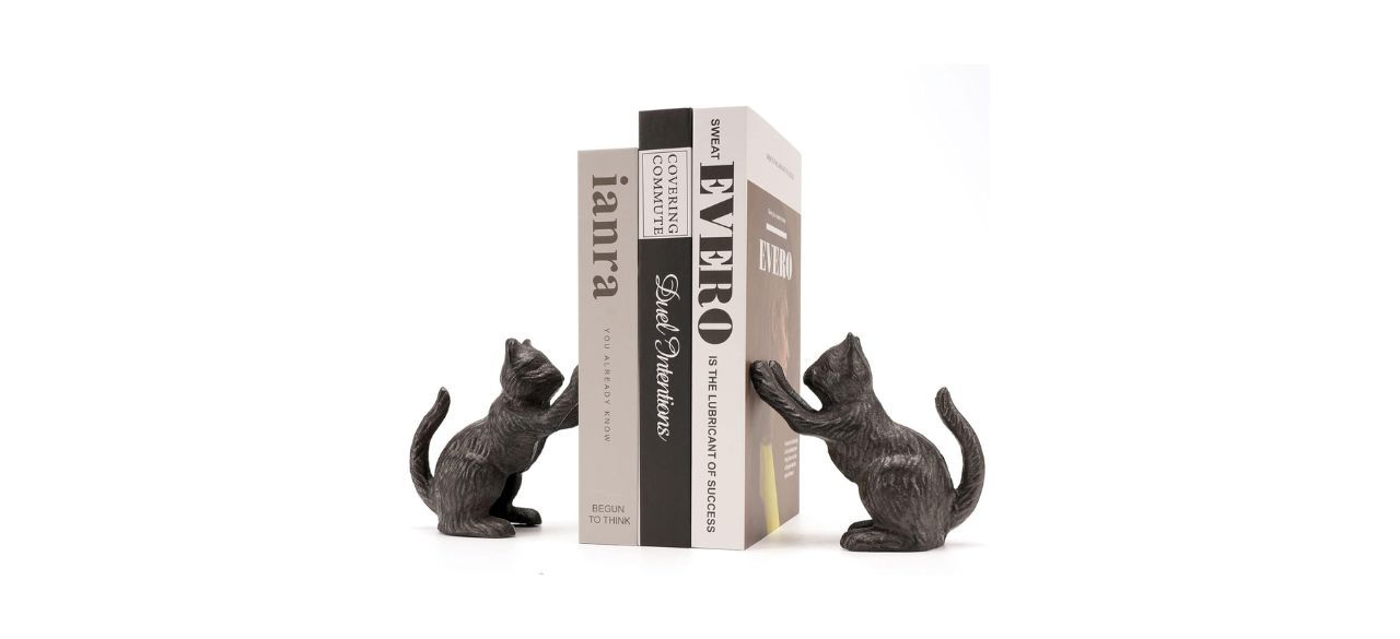 Ambipolar Cat Decorative Bookends