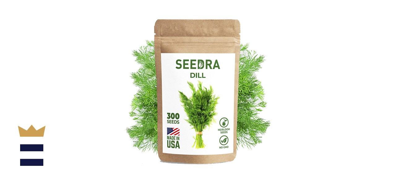 SEEDRA Dill