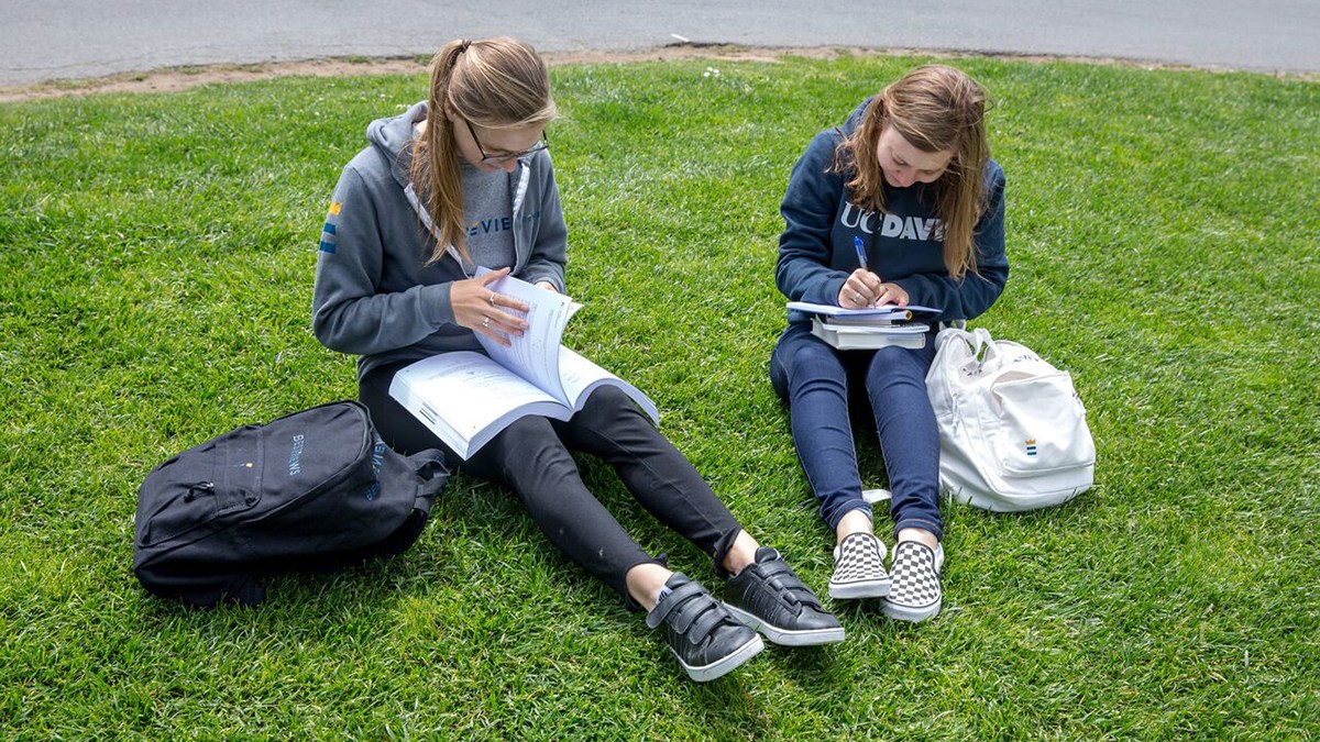 Two people sitting on grass on college campus