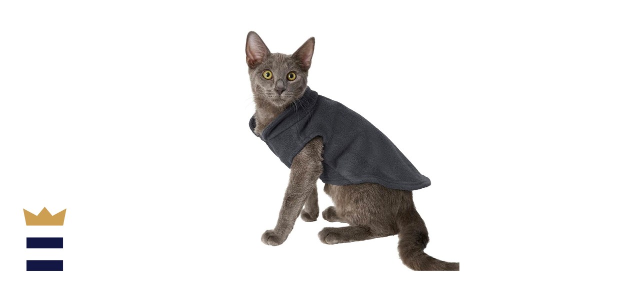 best cat clothes