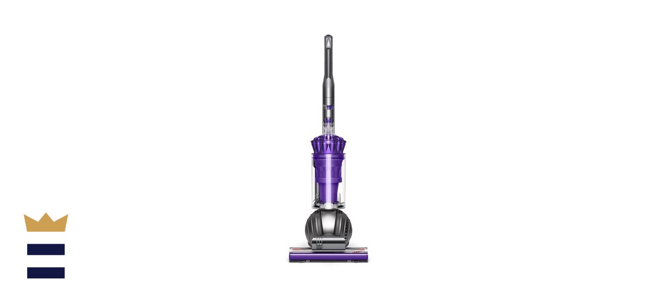 Dyson Ball Animal 2