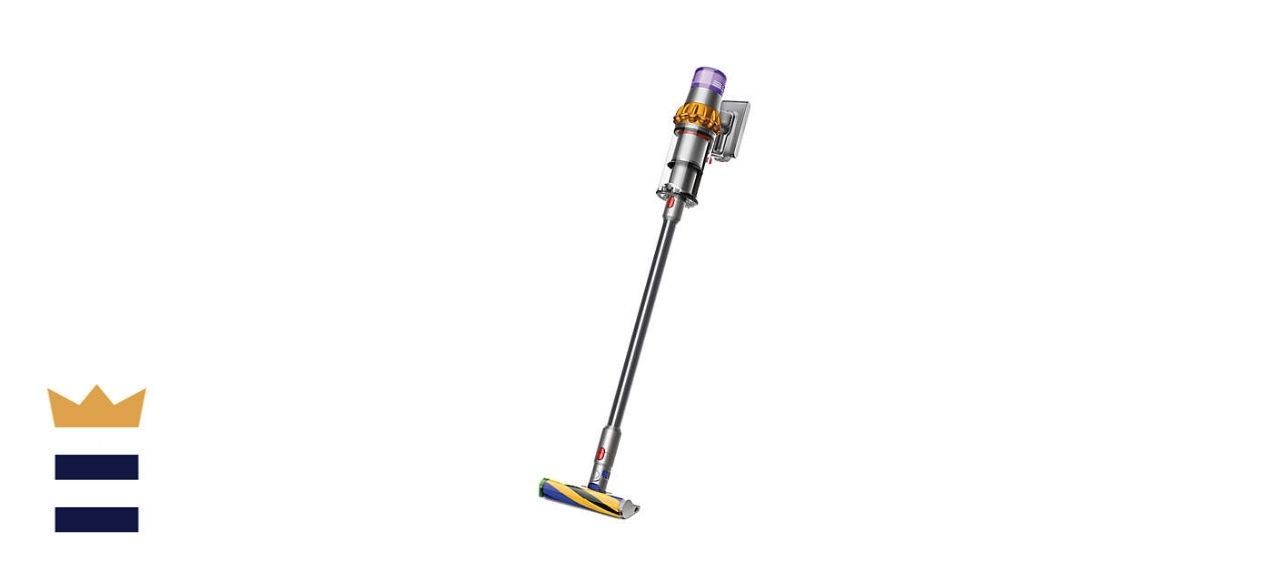 Dyson V15 Detect Cordless Pet Vacuum