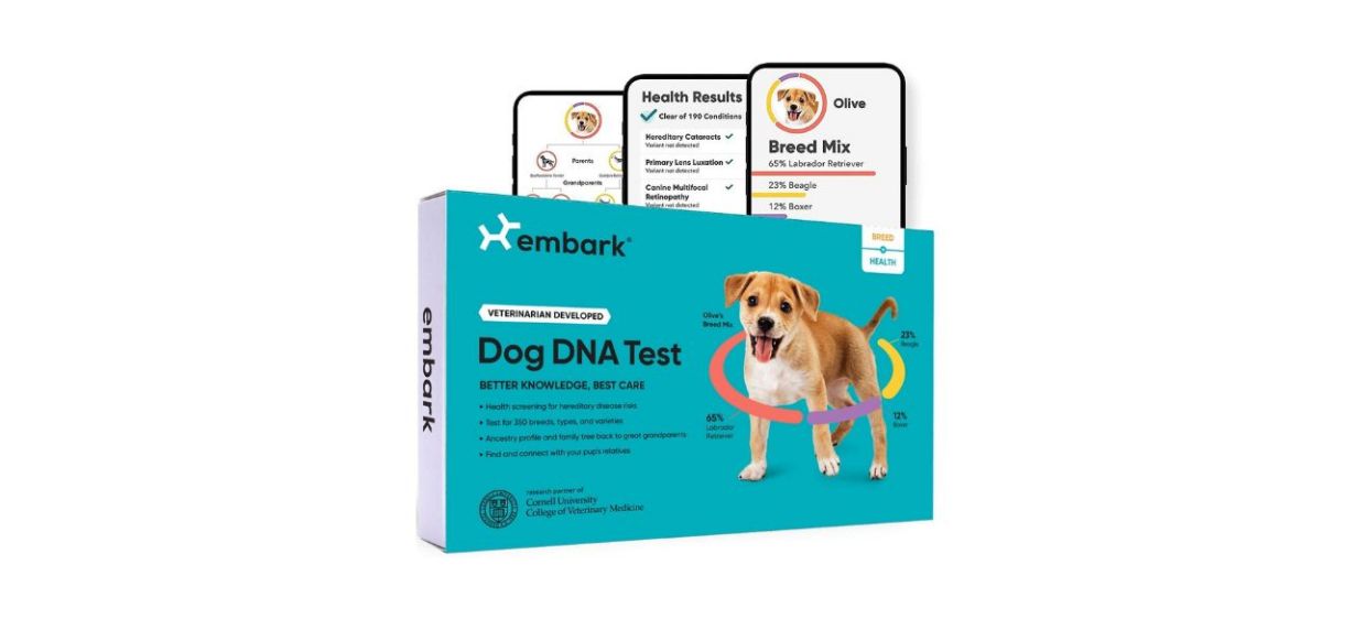 Embark Breed Identification and Health Condition Identification DNA Test for Dogs