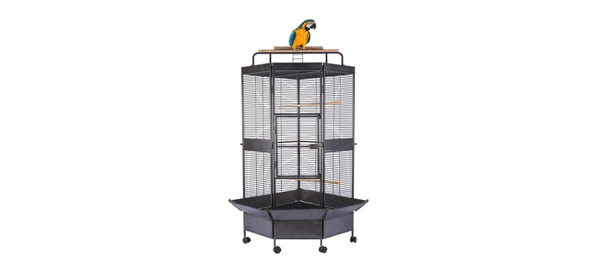 The 10 best birdcages | WRBL