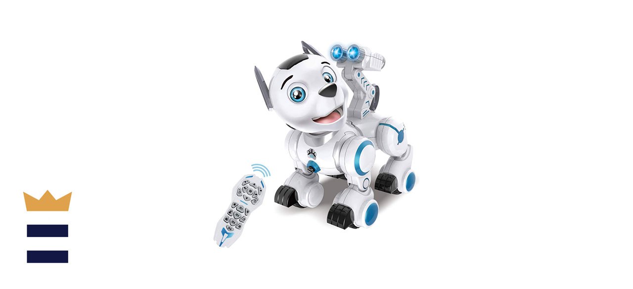 Fisca Remote Control Robotic Dog