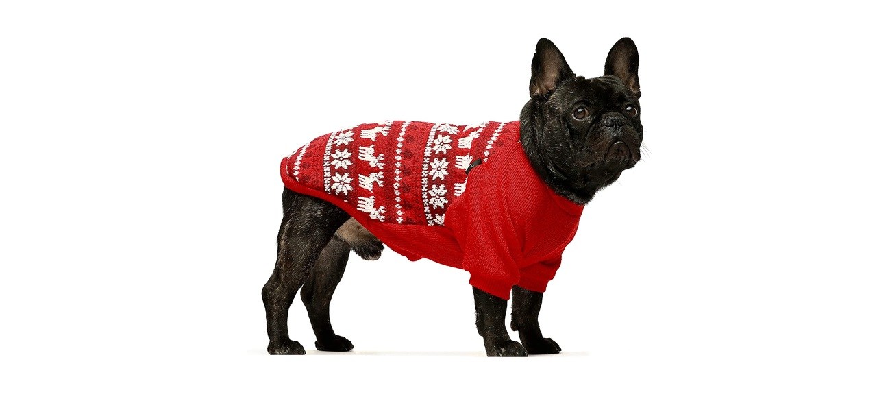 Fitwarm Dog Winter Sweater