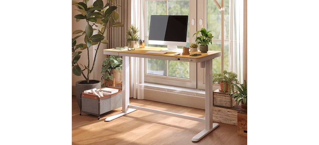 Best Flexispot Comhar Electric Standing Desk