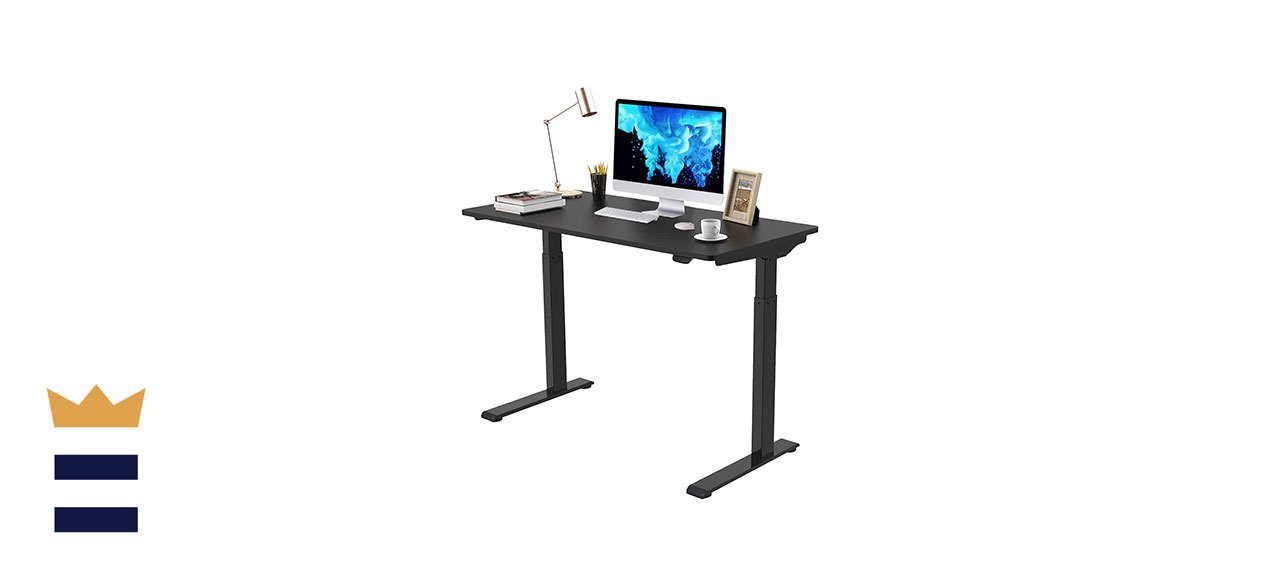 Flexispot EC9 Quick Install Standing Desk