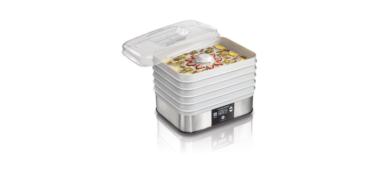 best Hamilton Beach Digital Food Dehydrator