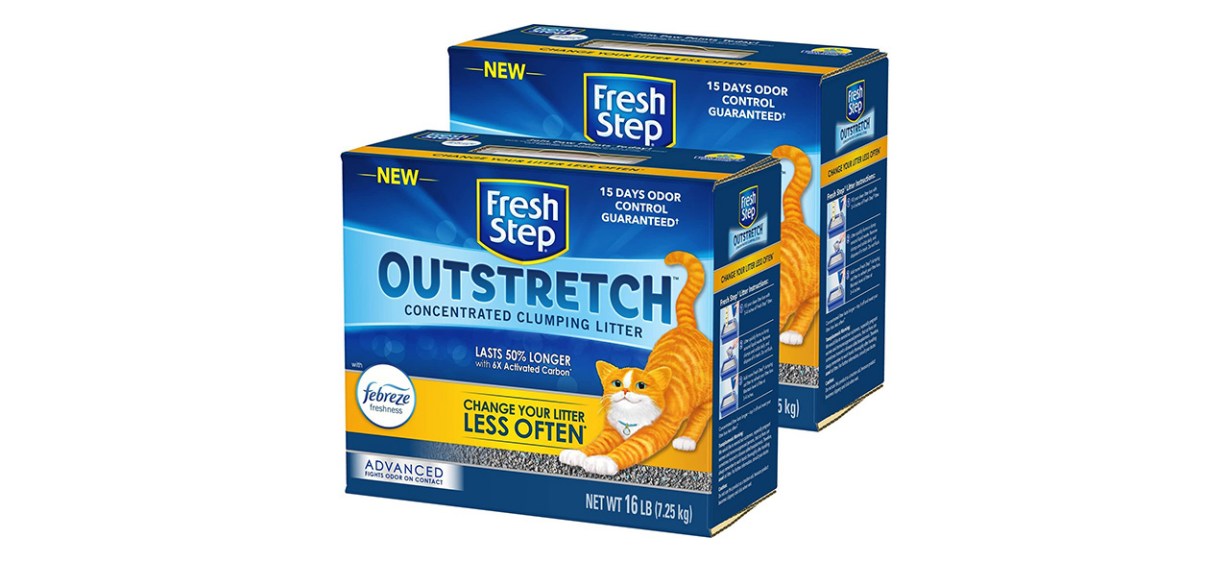 Best clumping cat litter KXAN Austin