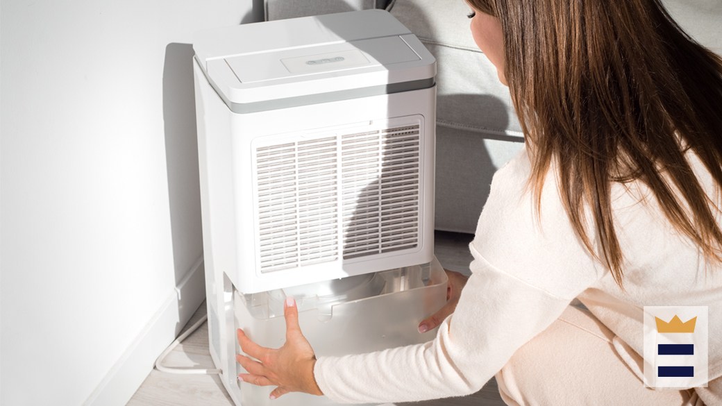 Frigidaire dehumidifier vs. Toshiba dehumidifier