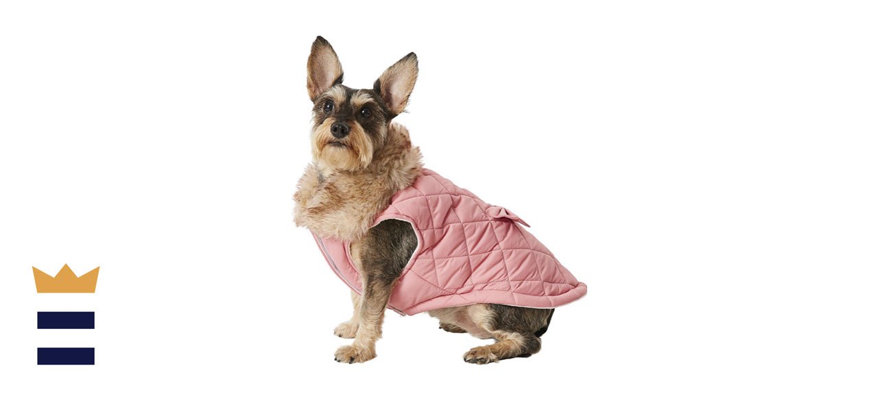 Frisco Aspen Insulated Quilted Dog Cat Jacket