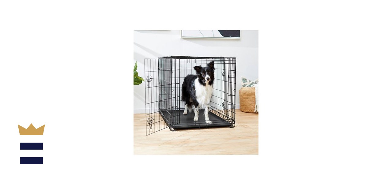 how to crate train a dog with separation anxiety