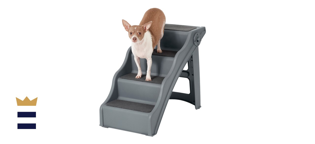 chewy dog steps for bed