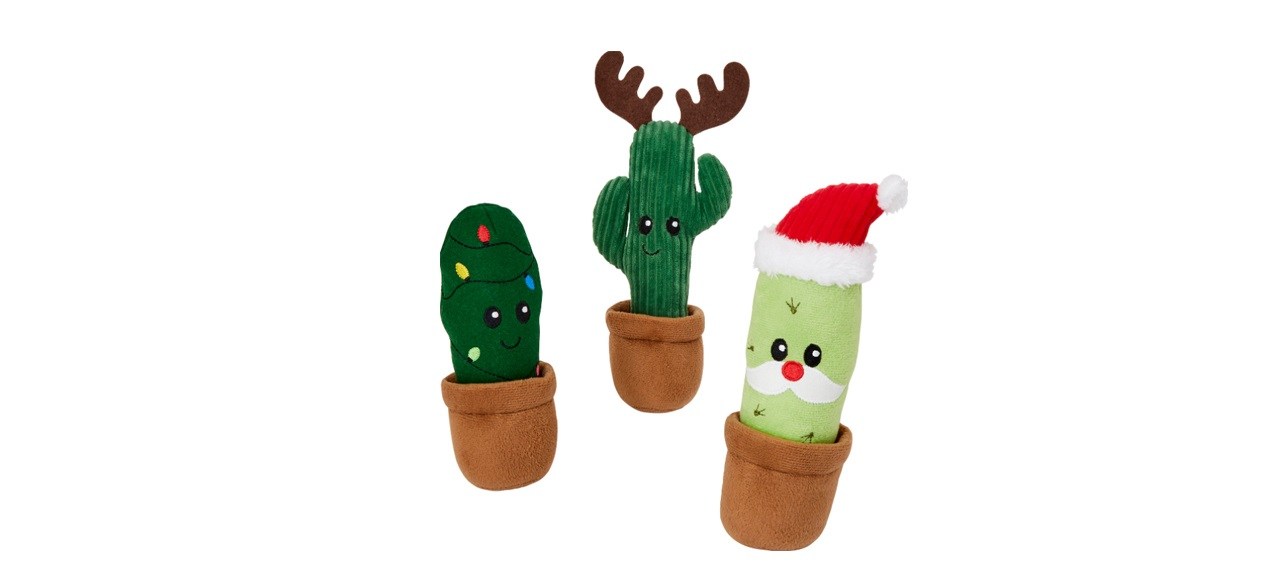 Frisco Holiday Cactus Plush Squeaky Dog ToyÂ 