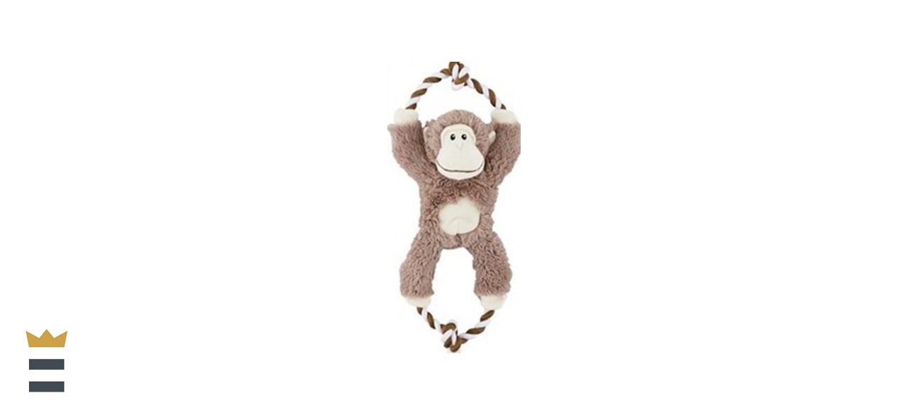 Frisco Monkey Plush with Rope