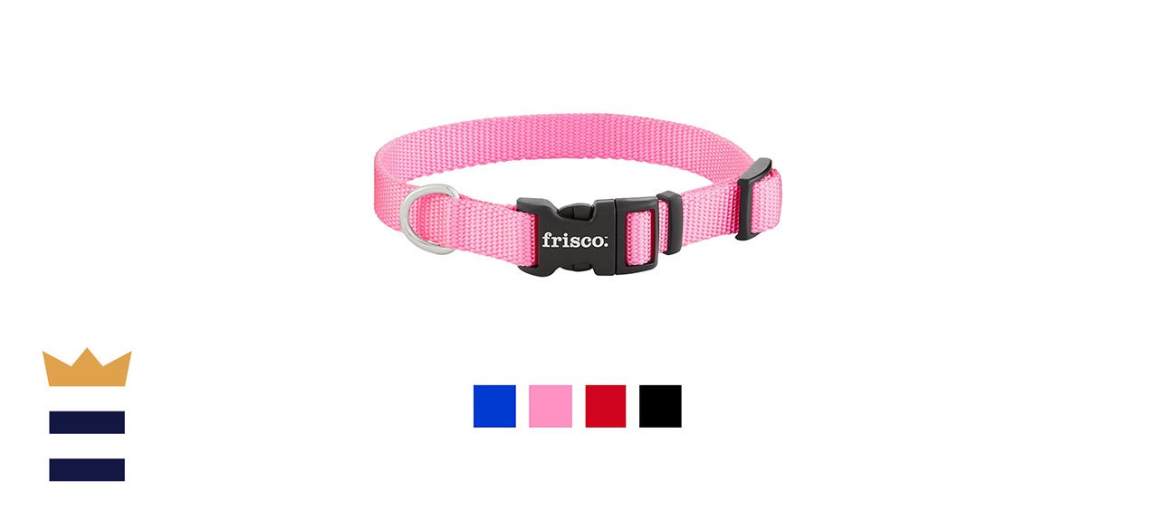 Frisco Solid Nylon Dog Collar