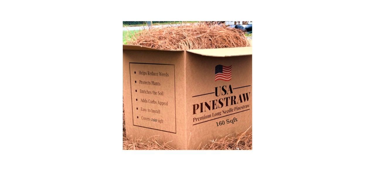USA Pine Straw