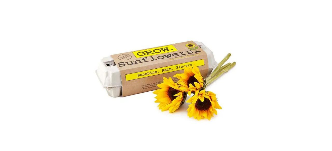 Sunflower Garden Grow Kit