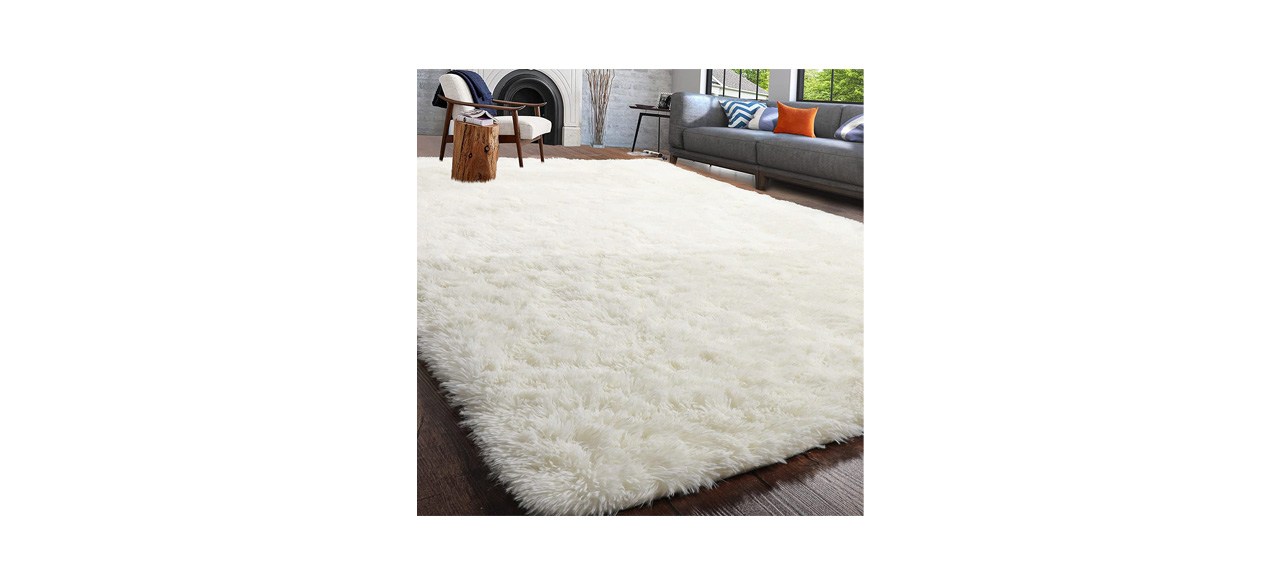 Best Pagisofe Fluffy Shaggy Area Rug