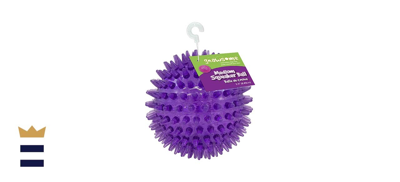 Gnawsome Medium Squeaker Ball