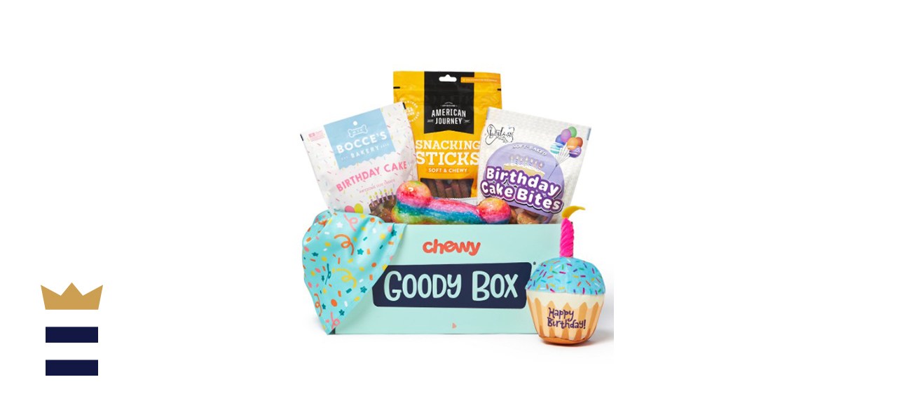 Goody Box Birthday Toys, Treats & Bandana