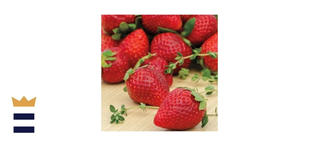 Gurney’s Ozark Beauty Strawberry Plants (25-Pack)