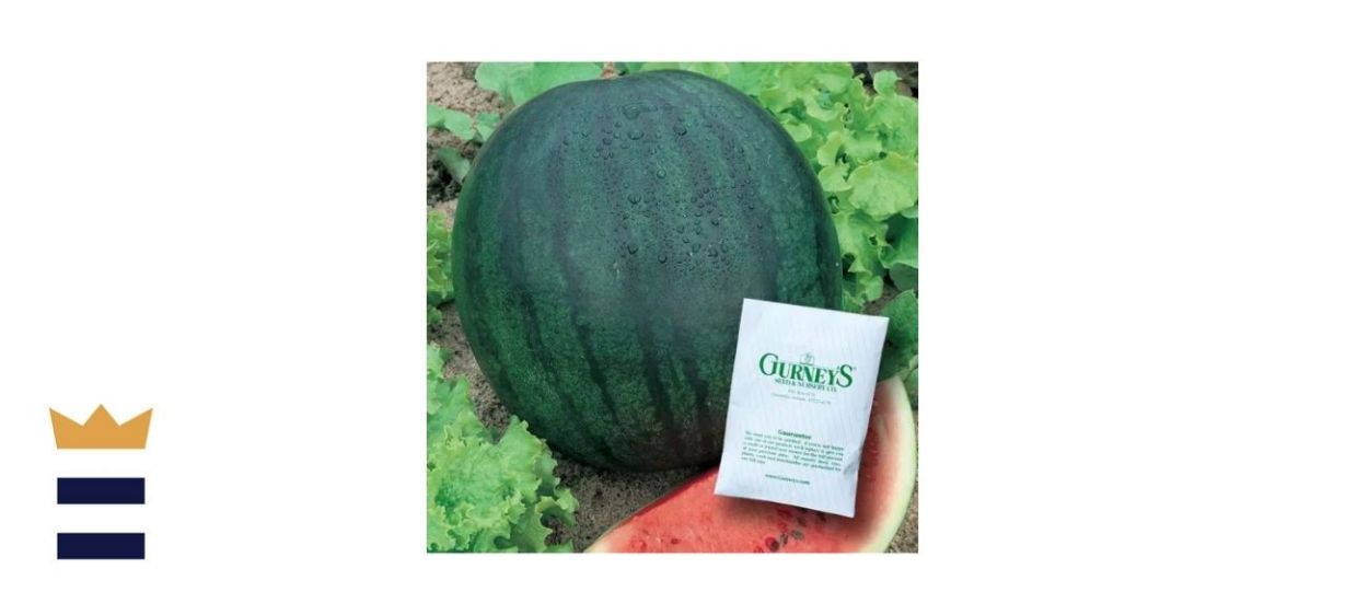 Gurney’s Watermelon Sugar Baby (30-Seed Packet)