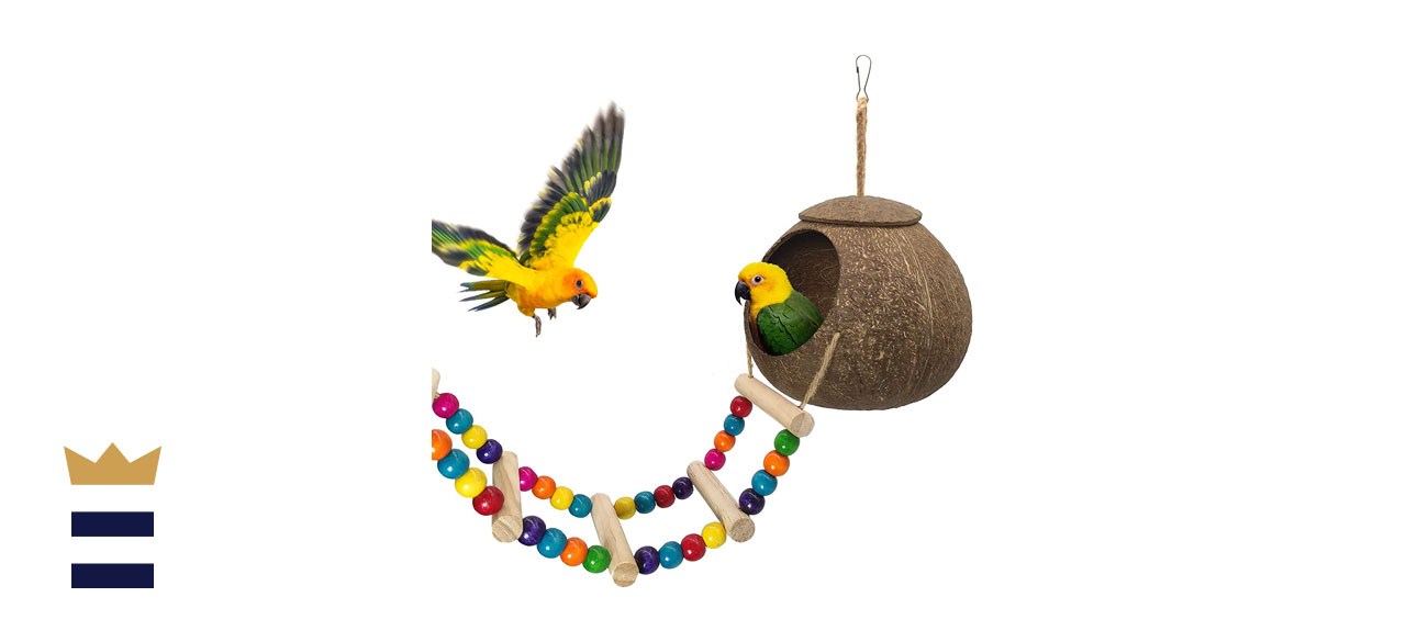 Hanging Coconut Bird House with Ladder