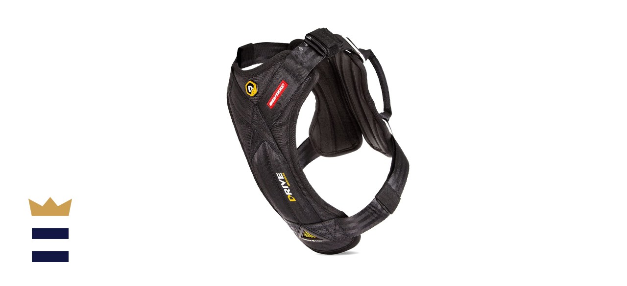 EzyDog Drive Safety Travel Dog Car Harness