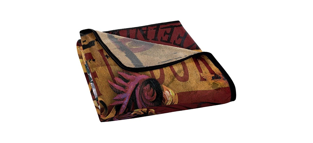 Harry Potter Micro Raschel Throw Blanket