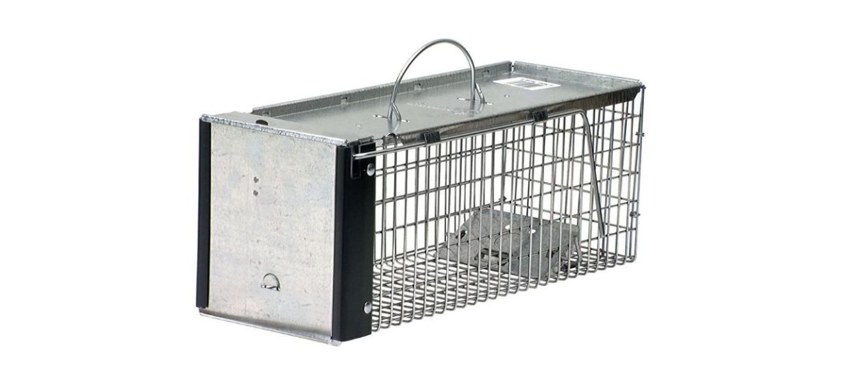 The 8 best animal traps