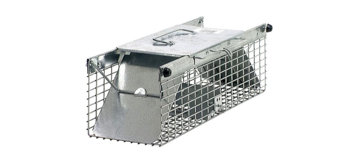 Kensizer 2 Pack Humane Live Animal Cage Trap That Work for Rat Mouse  Chipmunk and other Small Rodents, Catch and Release (Medium)