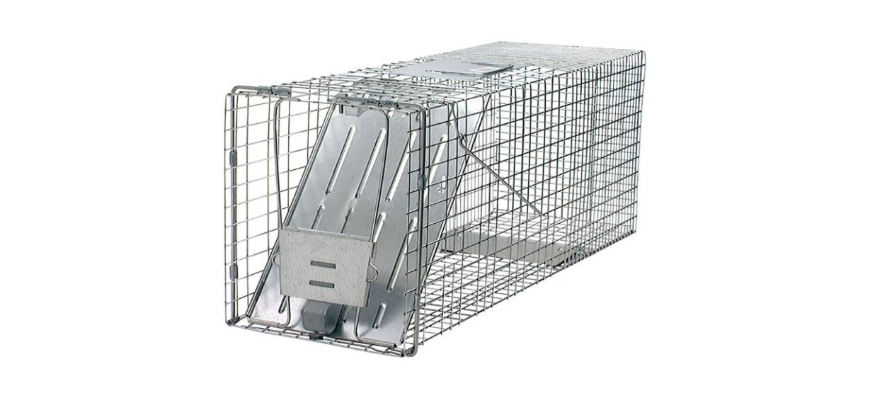 Havahart 1079SR Large 1-Door Humane Catch And Release Live Animal Trap