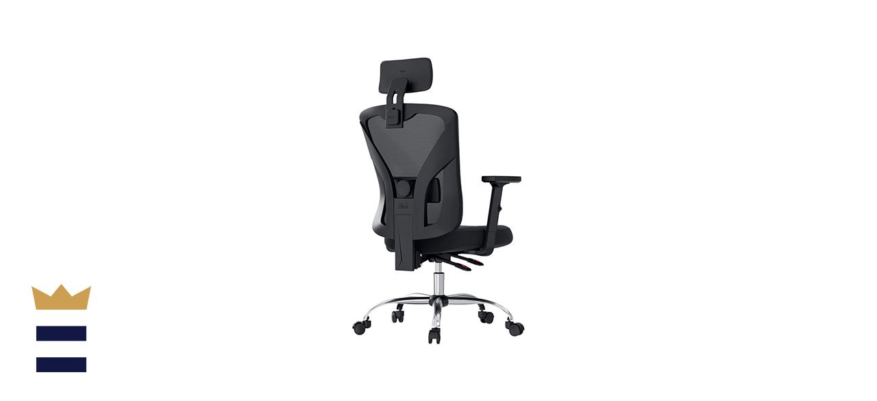 Hbada Ergonomic Office Desk Chair