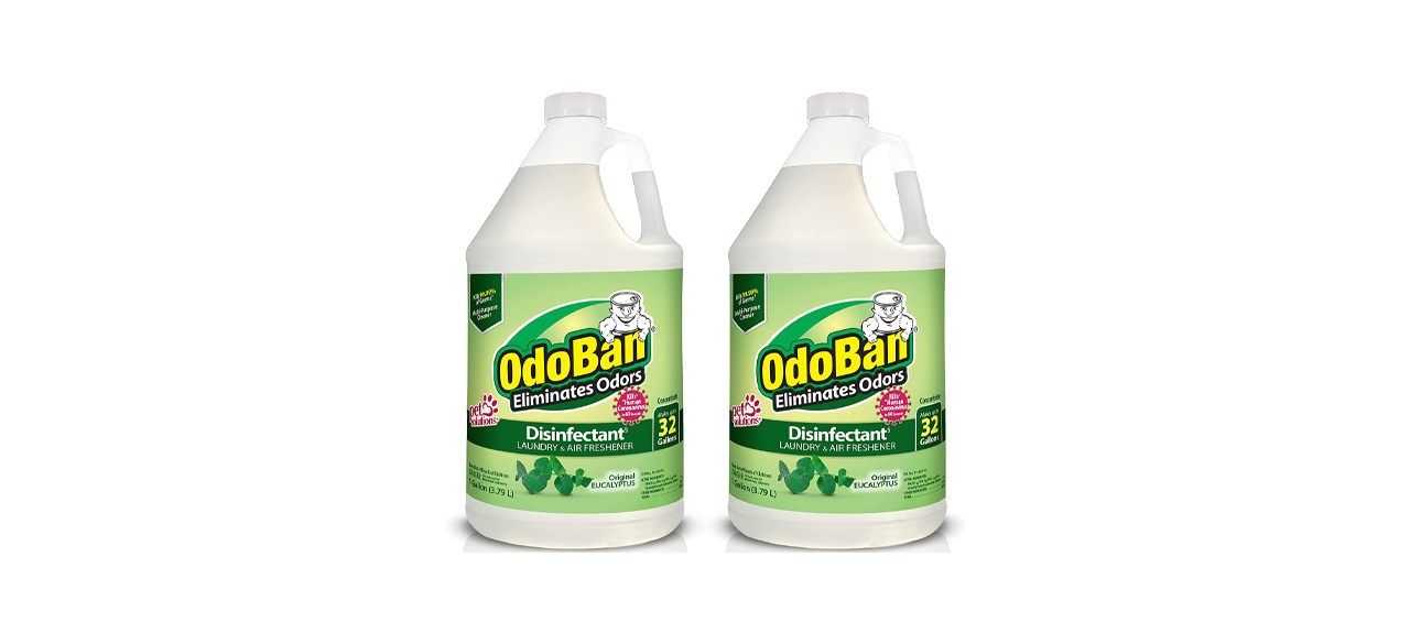 Best OdoBan Disinfectant Laundry and Air Freshener