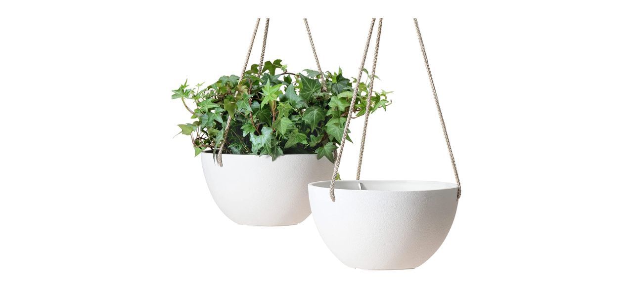 La Jolie Muse Hanging Planter