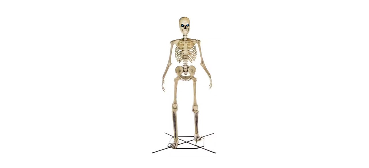 Giant-Sized 12-Foot Skeleton with LifeEyes on white background